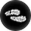 The Sole Hunters logo
