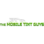 Tint Solutionz logo