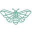 Touch Wellness Massage logo