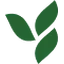 Voltage Nutrition logo