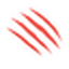 Wildcat Coffee Company logo