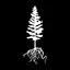 WildRoots CoffeeHouse logo